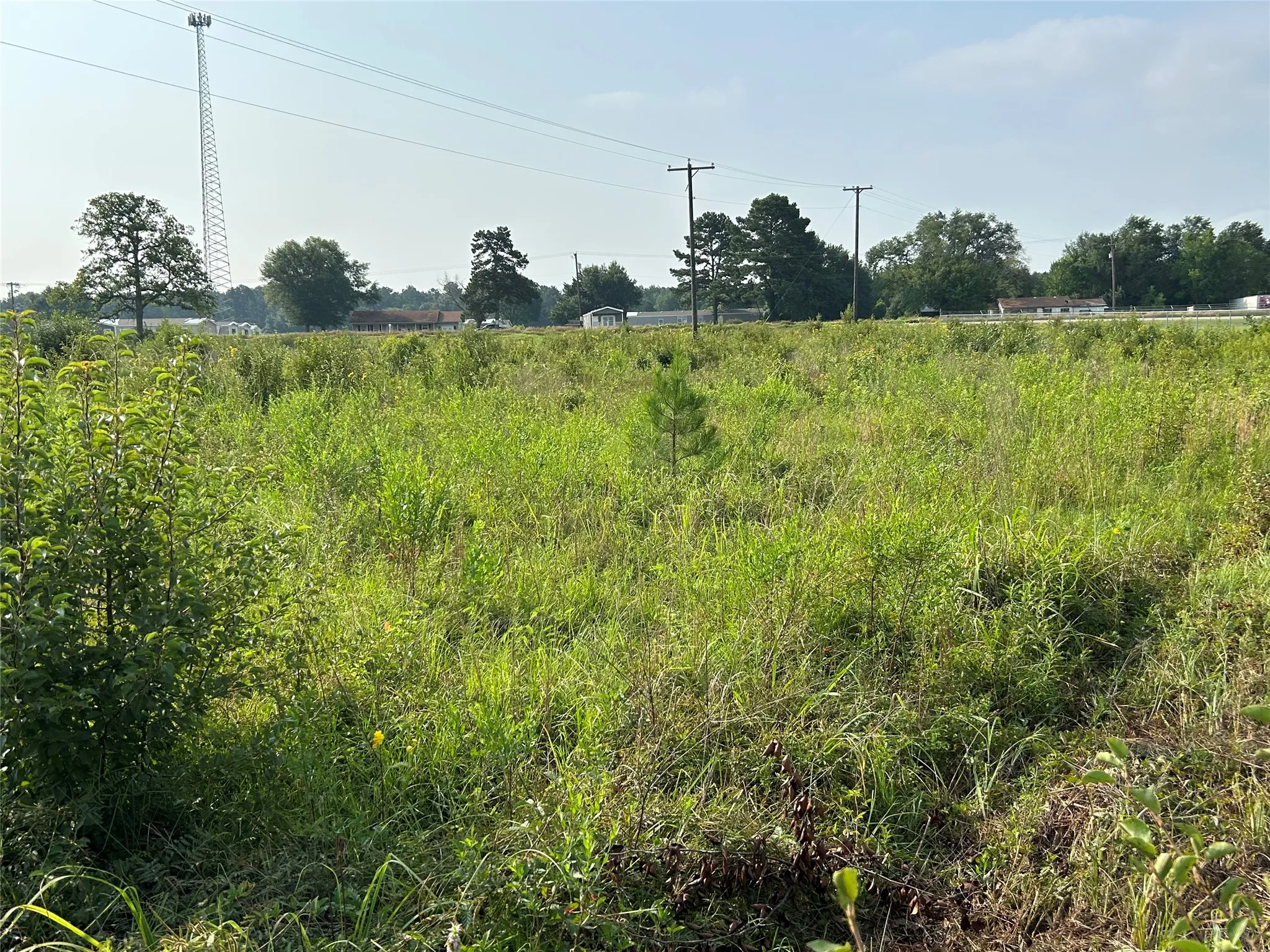 Unimproved Land For Sale in Anderson County , 155 US Hwy 79, Palestine, Texas 75803, 0, 0, Garage spaces, 0 Sqft, built in 0, Price $242,550, mls#20367051, Real Estate Agent in Palestine, Homes For Sale in Anderson county, Homes For Sale in Palestine, Realtor in Palestine Texas, Real Estate Brokerage Independent Realty Texas, Luminita Cordes Realtor