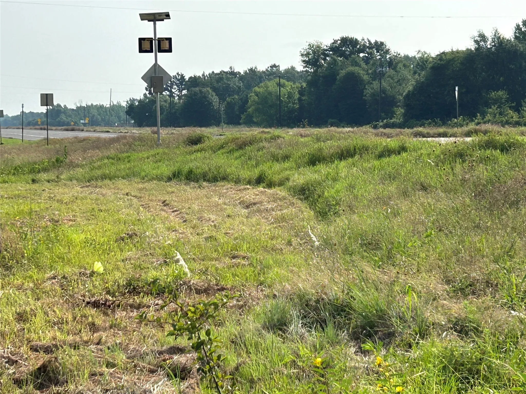 Unimproved Land For Sale in Anderson County , 155 US Hwy 79, Palestine, Texas 75803, 0, 0, Garage spaces, 0 Sqft, built in 0, Price $242,550, mls#20367051, Real Estate Agent in Palestine, Homes For Sale in Anderson county, Homes For Sale in Palestine, Realtor in Palestine Texas, Real Estate Brokerage Independent Realty Texas, Luminita Cordes Realtor