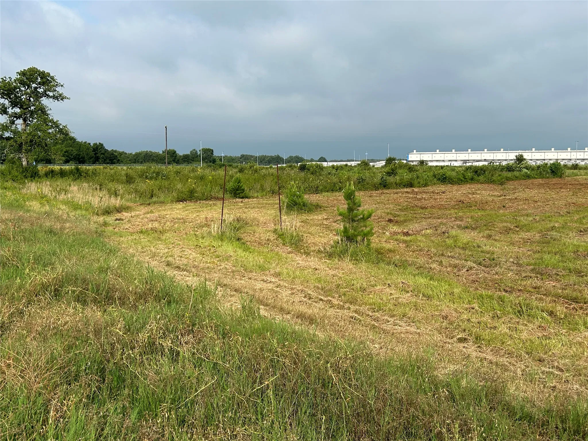 Unimproved Land For Sale in Anderson County , 155 US Hwy 79, Palestine, Texas 75803, 0, 0, Garage spaces, 0 Sqft, built in 0, Price $242,550, mls#20367051, Real Estate Agent in Palestine, Homes For Sale in Anderson county, Homes For Sale in Palestine, Realtor in Palestine Texas, Real Estate Brokerage Independent Realty Texas, Luminita Cordes Realtor