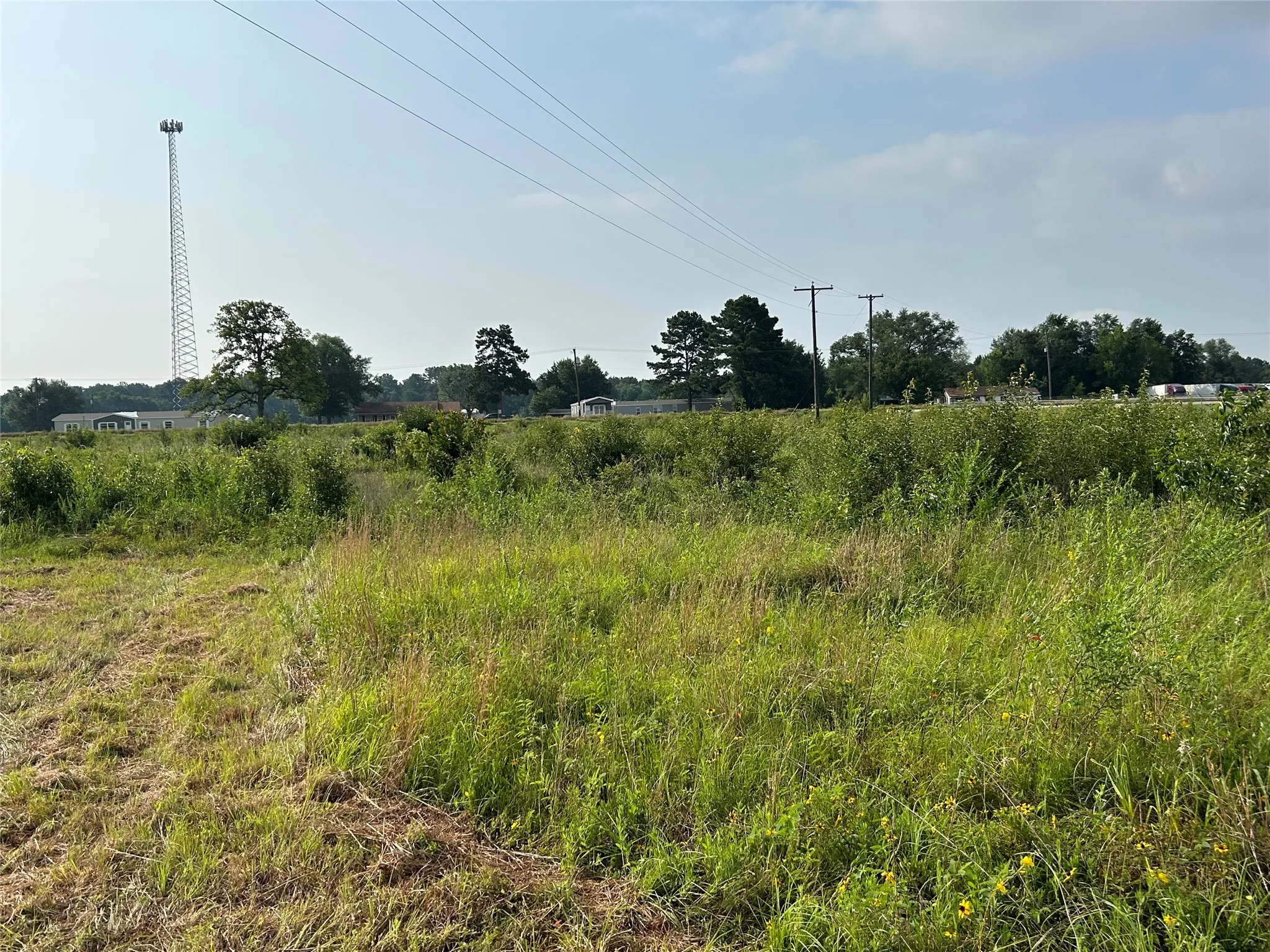 Unimproved Land For Sale in Anderson County , 155 US Hwy 79, Palestine, Texas 75803, 0, 0, Garage spaces, 0 Sqft, built in 0, Price $242,550, mls#20367051, Real Estate Agent in Palestine, Homes For Sale in Anderson county, Homes For Sale in Palestine, Realtor in Palestine Texas, Real Estate Brokerage Independent Realty Texas, Luminita Cordes Realtor