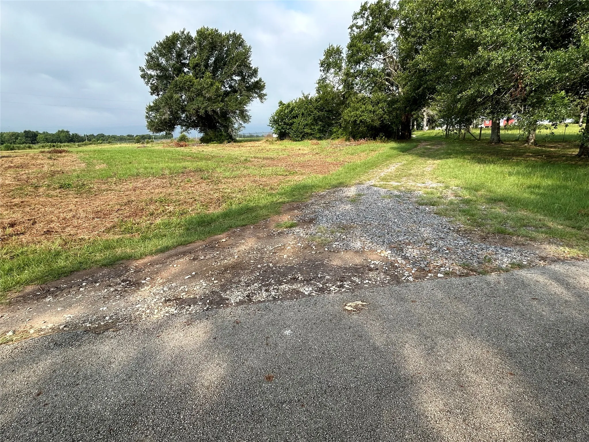 Unimproved Land For Sale in Anderson County , 155 US Hwy 79, Palestine, Texas 75803, 0, 0, Garage spaces, 0 Sqft, built in 0, Price $242,550, mls#20367051, Real Estate Agent in Palestine, Homes For Sale in Anderson county, Homes For Sale in Palestine, Realtor in Palestine Texas, Real Estate Brokerage Independent Realty Texas, Luminita Cordes Realtor