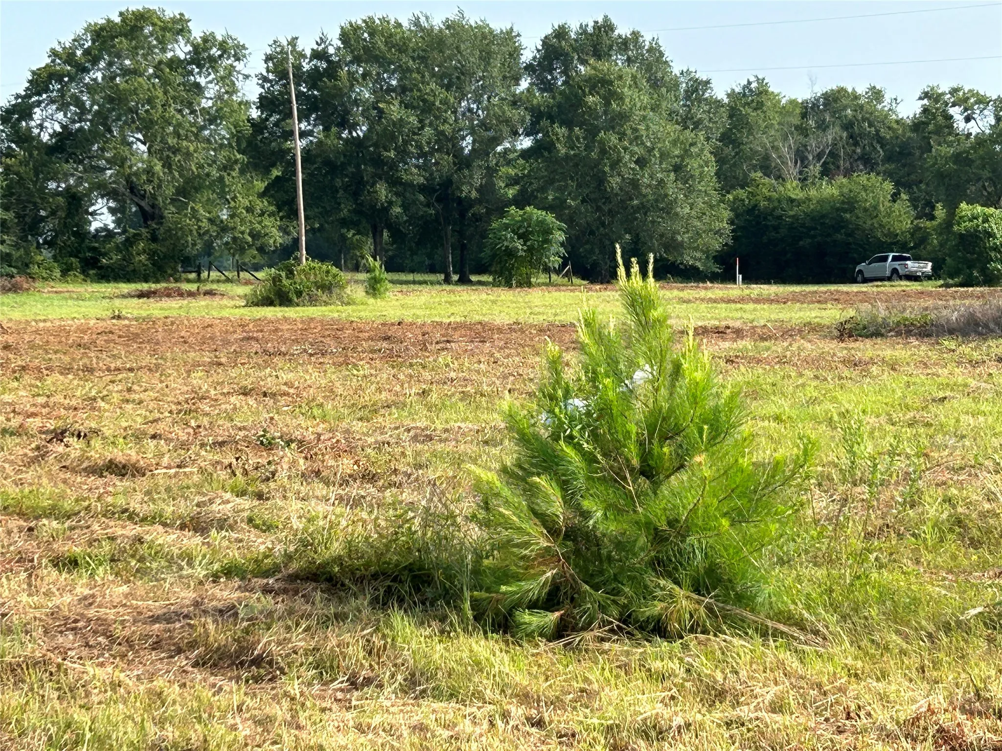 Unimproved Land For Sale in Anderson County , 155 US Hwy 79, Palestine, Texas 75803, 0, 0, Garage spaces, 0 Sqft, built in 0, Price $242,550, mls#20367051, Real Estate Agent in Palestine, Homes For Sale in Anderson county, Homes For Sale in Palestine, Realtor in Palestine Texas, Real Estate Brokerage Independent Realty Texas, Luminita Cordes Realtor