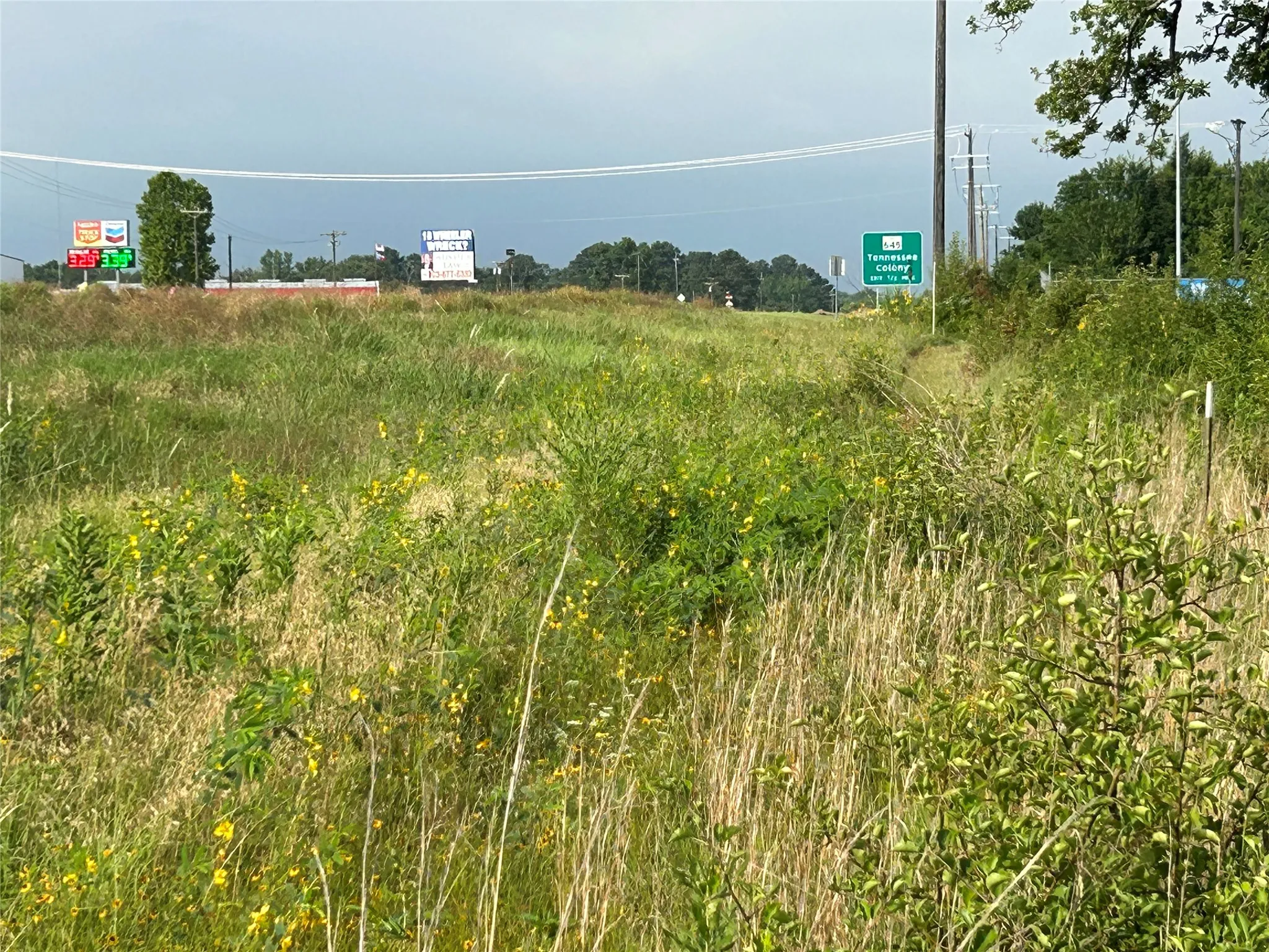 Unimproved Land For Sale in Anderson County , 155 US Hwy 79, Palestine, Texas 75803, 0, 0, Garage spaces, 0 Sqft, built in 0, Price $242,550, mls#20367051, Real Estate Agent in Palestine, Homes For Sale in Anderson county, Homes For Sale in Palestine, Realtor in Palestine Texas, Real Estate Brokerage Independent Realty Texas, Luminita Cordes Realtor