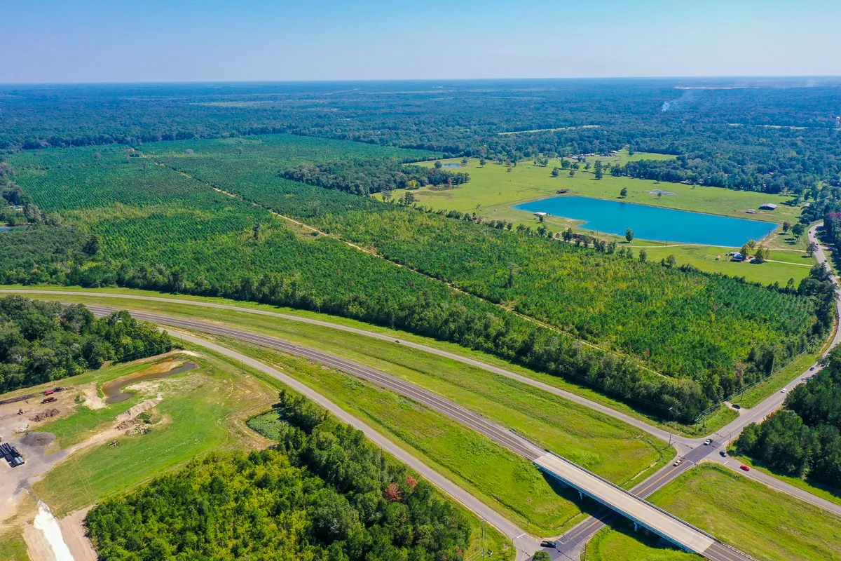 Unimproved Land For Sale in Liberty County , 000 FM 1010, Cleveland, Texas 77327, 0, 0, Garage spaces, 0 Sqft, built in 0, mls#20368189, Real Estate Agent in Cleveland, Homes For Sale in Liberty county, Homes For Sale in Cleveland, Realtor in Cleveland Texas, Real Estate Brokerage Independent Realty Texas, Luminita Cordes Realtor