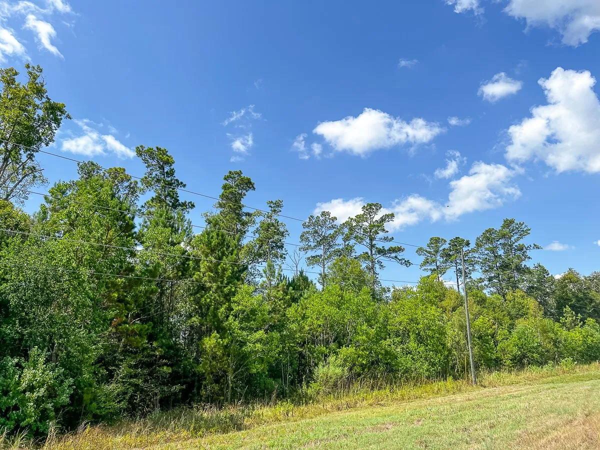 Unimproved Land For Sale in Liberty County , 000 FM 1010, Cleveland, Texas 77327, 0, 0, Garage spaces, 0 Sqft, built in 0, mls#20368189, Real Estate Agent in Cleveland, Homes For Sale in Liberty county, Homes For Sale in Cleveland, Realtor in Cleveland Texas, Real Estate Brokerage Independent Realty Texas, Luminita Cordes Realtor