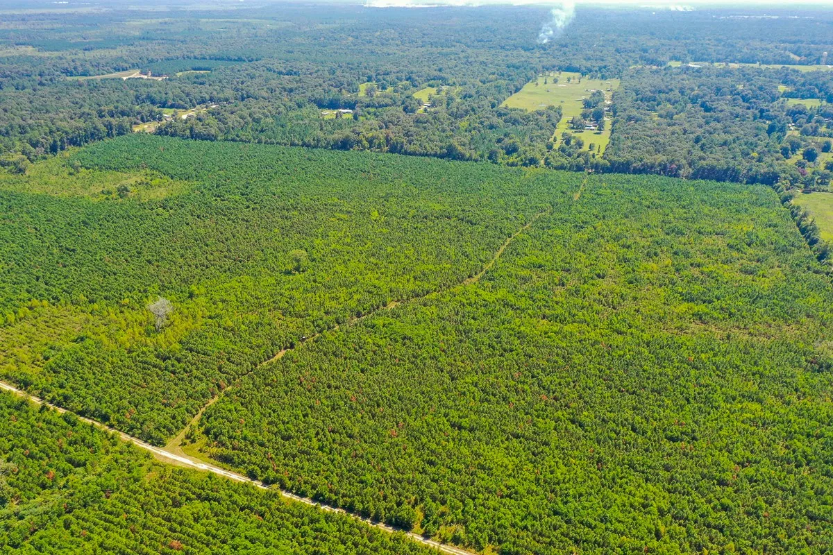 Unimproved Land For Sale in Liberty County , 000 FM 1010, Cleveland, Texas 77327, 0, 0, Garage spaces, 0 Sqft, built in 0, mls#20368189, Real Estate Agent in Cleveland, Homes For Sale in Liberty county, Homes For Sale in Cleveland, Realtor in Cleveland Texas, Real Estate Brokerage Independent Realty Texas, Luminita Cordes Realtor