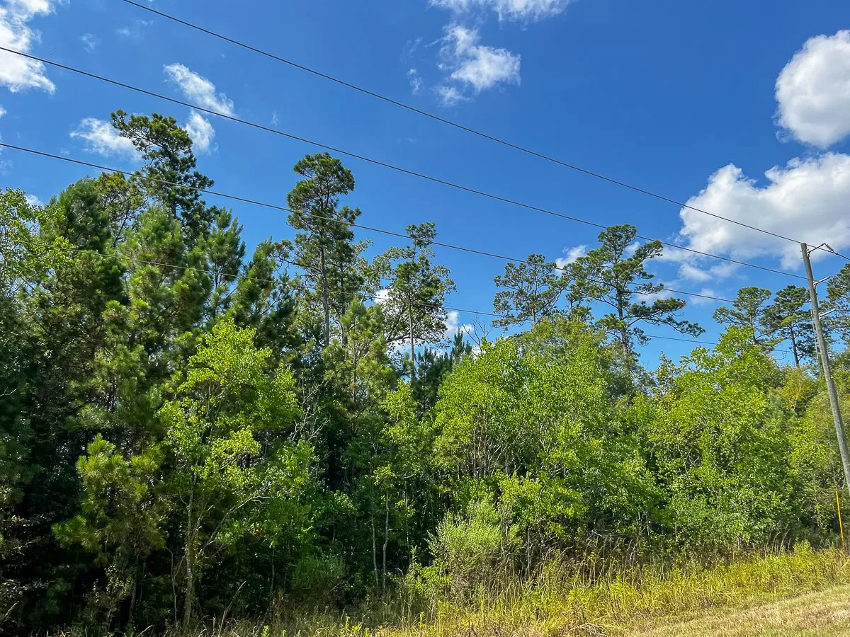 Unimproved Land For Sale in Liberty County , 000 FM 1010, Cleveland, Texas 77327, 0, 0, Garage spaces, 0 Sqft, built in 0, mls#20368189, Real Estate Agent in Cleveland, Homes For Sale in Liberty county, Homes For Sale in Cleveland, Realtor in Cleveland Texas, Real Estate Brokerage Independent Realty Texas, Luminita Cordes Realtor