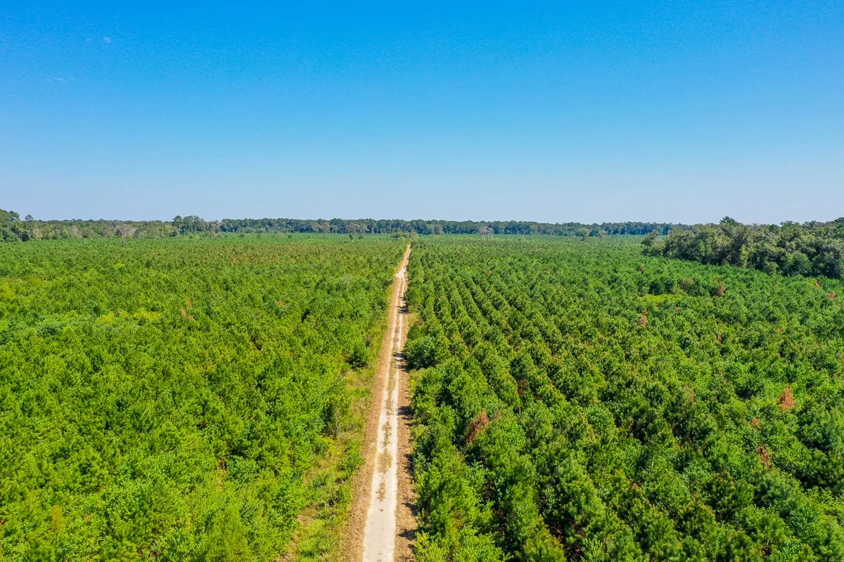 Unimproved Land For Sale in Liberty County , 000 FM 1010, Cleveland, Texas 77327, 0, 0, Garage spaces, 0 Sqft, built in 0, mls#20368189, Real Estate Agent in Cleveland, Homes For Sale in Liberty county, Homes For Sale in Cleveland, Realtor in Cleveland Texas, Real Estate Brokerage Independent Realty Texas, Luminita Cordes Realtor