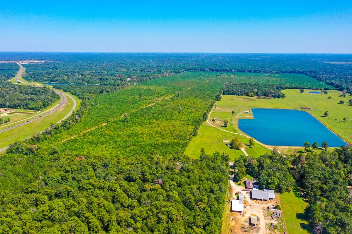 Unimproved Land For Sale in Liberty County , 000 FM 1010, Cleveland, Texas 77327, 0, 0, Garage spaces, 0 Sqft, built in 0, mls#20368189, Real Estate Agent in Cleveland, Homes For Sale in Liberty county, Homes For Sale in Cleveland, Realtor in Cleveland Texas, Real Estate Brokerage Independent Realty Texas, Luminita Cordes Realtor