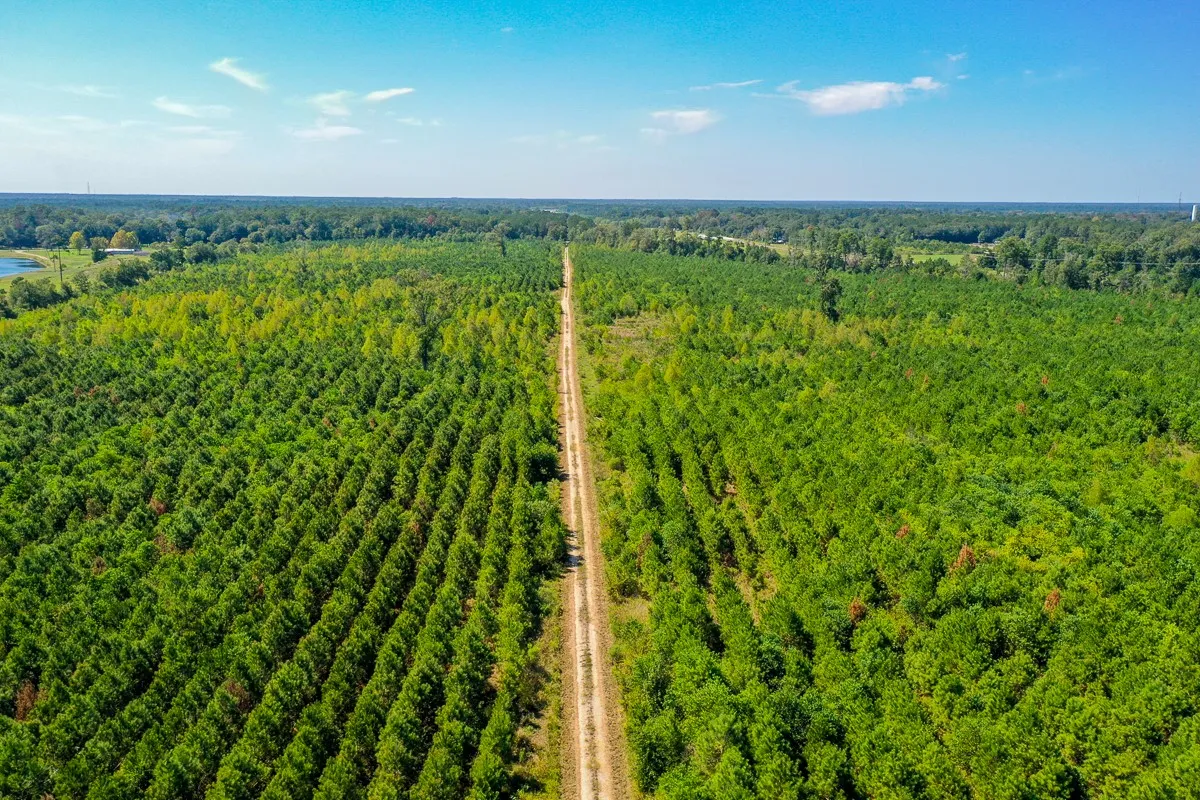 Unimproved Land For Sale in Liberty County , 000 FM 1010, Cleveland, Texas 77327, 0, 0, Garage spaces, 0 Sqft, built in 0, mls#20368189, Real Estate Agent in Cleveland, Homes For Sale in Liberty county, Homes For Sale in Cleveland, Realtor in Cleveland Texas, Real Estate Brokerage Independent Realty Texas, Luminita Cordes Realtor