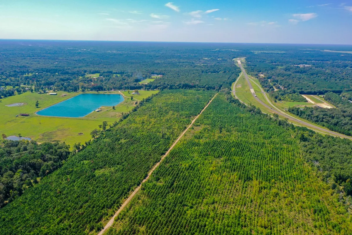 Unimproved Land For Sale in Liberty County , 000 FM 1010, Cleveland, Texas 77327, 0, 0, Garage spaces, 0 Sqft, built in 0, mls#20368189, Real Estate Agent in Cleveland, Homes For Sale in Liberty county, Homes For Sale in Cleveland, Realtor in Cleveland Texas, Real Estate Brokerage Independent Realty Texas, Luminita Cordes Realtor