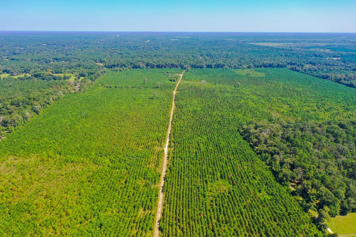 Unimproved Land For Sale in Liberty County , 000 FM 1010, Cleveland, Texas 77327, 0, 0, Garage spaces, 0 Sqft, built in 0, mls#20368189, Real Estate Agent in Cleveland, Homes For Sale in Liberty county, Homes For Sale in Cleveland, Realtor in Cleveland Texas, Real Estate Brokerage Independent Realty Texas, Luminita Cordes Realtor
