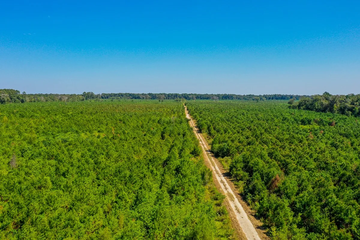 Unimproved Land For Sale in Liberty County , 000 FM 1010, Cleveland, Texas 77327, 0, 0, Garage spaces, 0 Sqft, built in 0, mls#20368189, Real Estate Agent in Cleveland, Homes For Sale in Liberty county, Homes For Sale in Cleveland, Realtor in Cleveland Texas, Real Estate Brokerage Independent Realty Texas, Luminita Cordes Realtor
