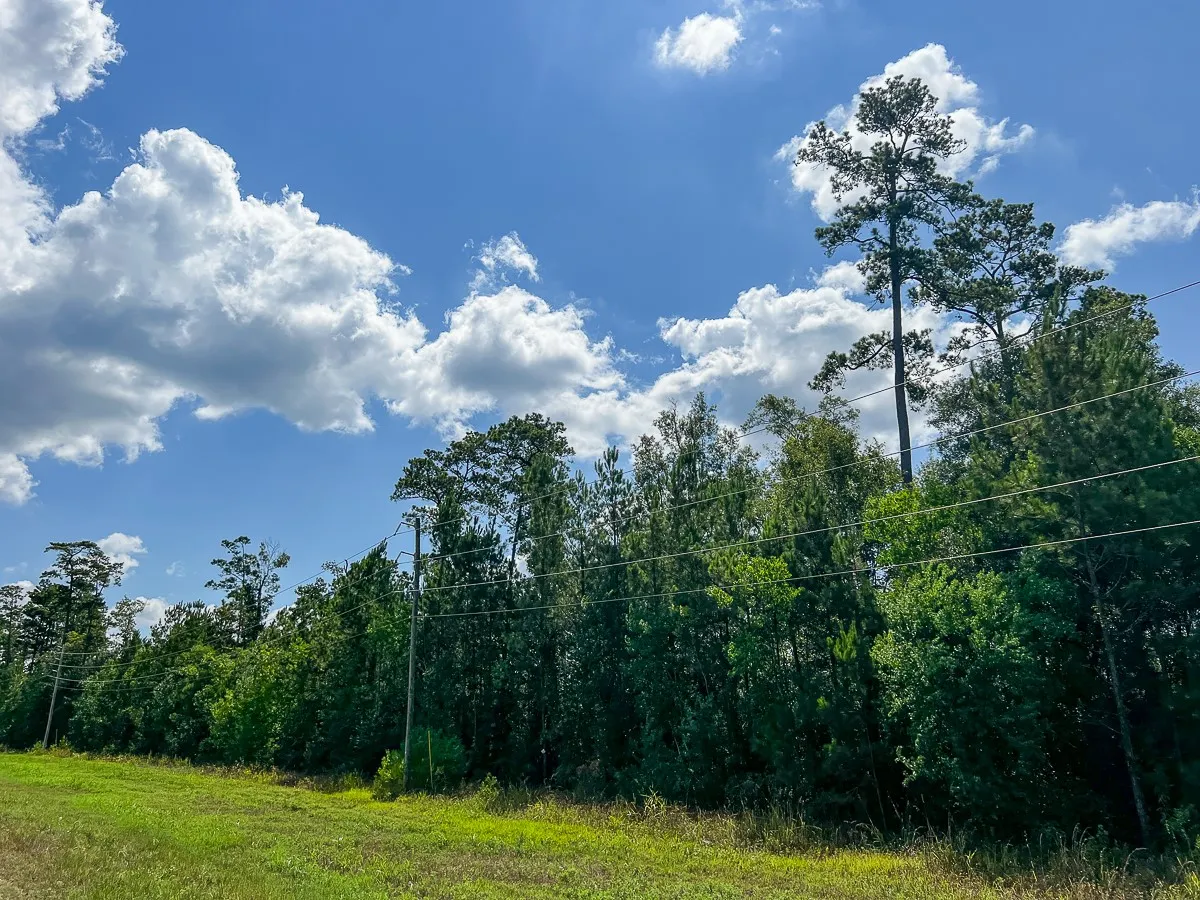 Unimproved Land For Sale in Liberty County , 000 FM 1010, Cleveland, Texas 77327, 0, 0, Garage spaces, 0 Sqft, built in 0, mls#20368189, Real Estate Agent in Cleveland, Homes For Sale in Liberty county, Homes For Sale in Cleveland, Realtor in Cleveland Texas, Real Estate Brokerage Independent Realty Texas, Luminita Cordes Realtor