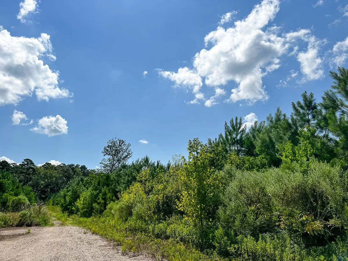 Unimproved Land For Sale in Liberty County , 000 FM 1010, Cleveland, Texas 77327, 0, 0, Garage spaces, 0 Sqft, built in 0, mls#20368189, Real Estate Agent in Cleveland, Homes For Sale in Liberty county, Homes For Sale in Cleveland, Realtor in Cleveland Texas, Real Estate Brokerage Independent Realty Texas, Luminita Cordes Realtor