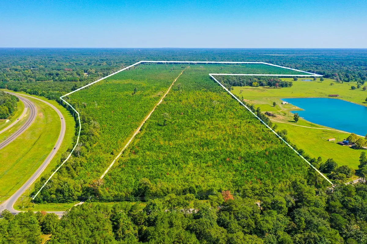 Unimproved Land For Sale in Liberty County , 000 FM 1010, Cleveland, Texas 77327, 0, 0, Garage spaces, 0 Sqft, built in 0, mls#20368189, Real Estate Agent in Cleveland, Homes For Sale in Liberty county, Homes For Sale in Cleveland, Realtor in Cleveland Texas, Real Estate Brokerage Independent Realty Texas, Luminita Cordes Realtor