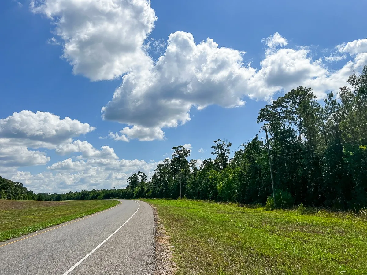 Unimproved Land For Sale in Liberty County , 000 FM 1010, Cleveland, Texas 77327, 0, 0, Garage spaces, 0 Sqft, built in 0, mls#20368189, Real Estate Agent in Cleveland, Homes For Sale in Liberty county, Homes For Sale in Cleveland, Realtor in Cleveland Texas, Real Estate Brokerage Independent Realty Texas, Luminita Cordes Realtor