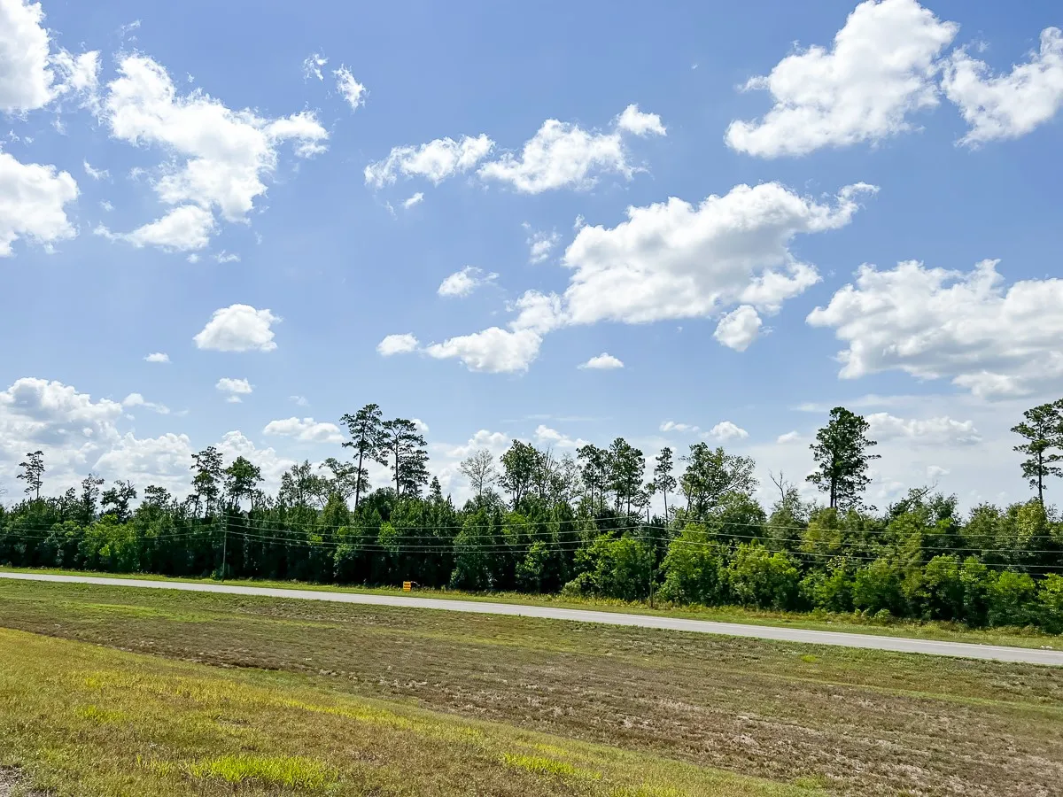 Unimproved Land For Sale in Liberty County , 000 FM 1010, Cleveland, Texas 77327, 0, 0, Garage spaces, 0 Sqft, built in 0, mls#20368189, Real Estate Agent in Cleveland, Homes For Sale in Liberty county, Homes For Sale in Cleveland, Realtor in Cleveland Texas, Real Estate Brokerage Independent Realty Texas, Luminita Cordes Realtor
