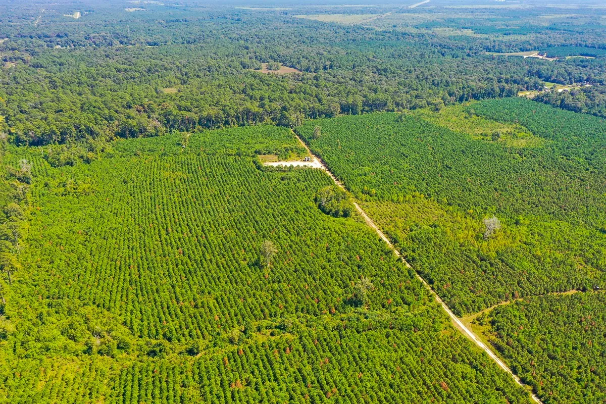 Unimproved Land For Sale in Liberty County , 000 FM 1010, Cleveland, Texas 77327, 0, 0, Garage spaces, 0 Sqft, built in 0, mls#20368189, Real Estate Agent in Cleveland, Homes For Sale in Liberty county, Homes For Sale in Cleveland, Realtor in Cleveland Texas, Real Estate Brokerage Independent Realty Texas, Luminita Cordes Realtor