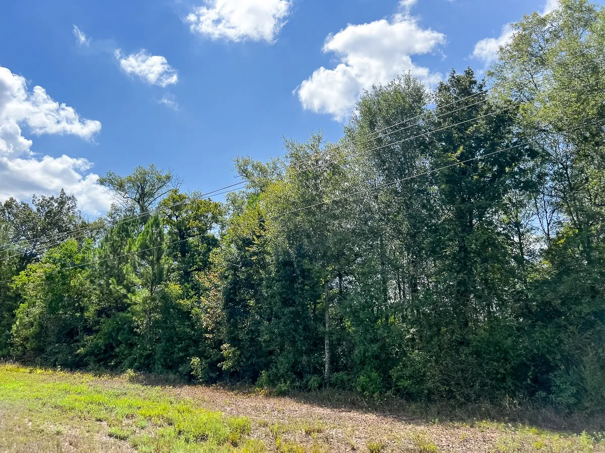 Unimproved Land For Sale in Liberty County , 000 FM 1010, Cleveland, Texas 77327, 0, 0, Garage spaces, 0 Sqft, built in 0, mls#20368189, Real Estate Agent in Cleveland, Homes For Sale in Liberty county, Homes For Sale in Cleveland, Realtor in Cleveland Texas, Real Estate Brokerage Independent Realty Texas, Luminita Cordes Realtor