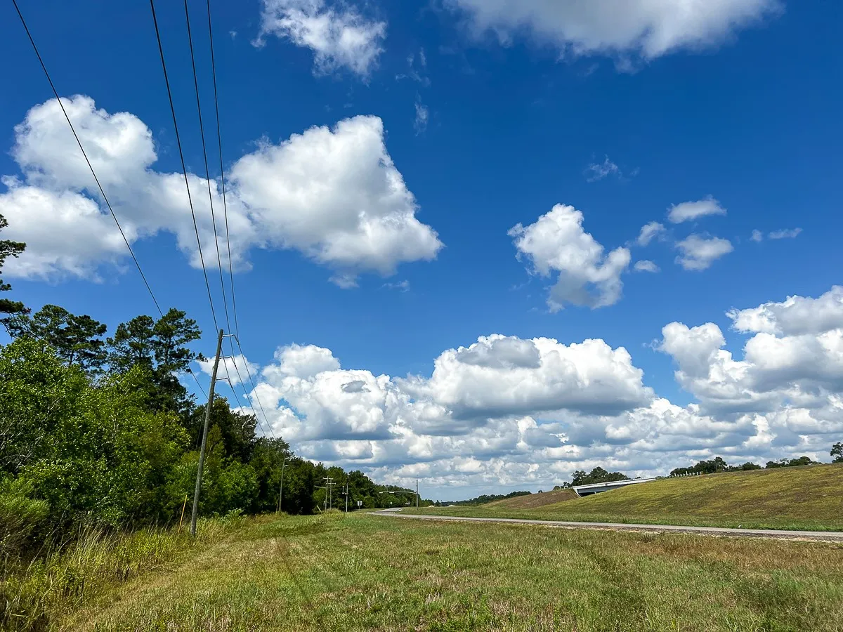 Unimproved Land For Sale in Liberty County , 000 FM 1010, Cleveland, Texas 77327, 0, 0, Garage spaces, 0 Sqft, built in 0, mls#20368189, Real Estate Agent in Cleveland, Homes For Sale in Liberty county, Homes For Sale in Cleveland, Realtor in Cleveland Texas, Real Estate Brokerage Independent Realty Texas, Luminita Cordes Realtor