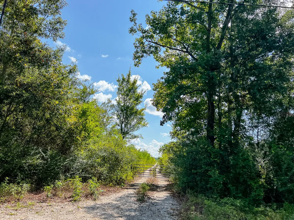 Unimproved Land For Sale in Liberty County , 000 FM 1010, Cleveland, Texas 77327, 0, 0, Garage spaces, 0 Sqft, built in 0, mls#20368189, Real Estate Agent in Cleveland, Homes For Sale in Liberty county, Homes For Sale in Cleveland, Realtor in Cleveland Texas, Real Estate Brokerage Independent Realty Texas, Luminita Cordes Realtor