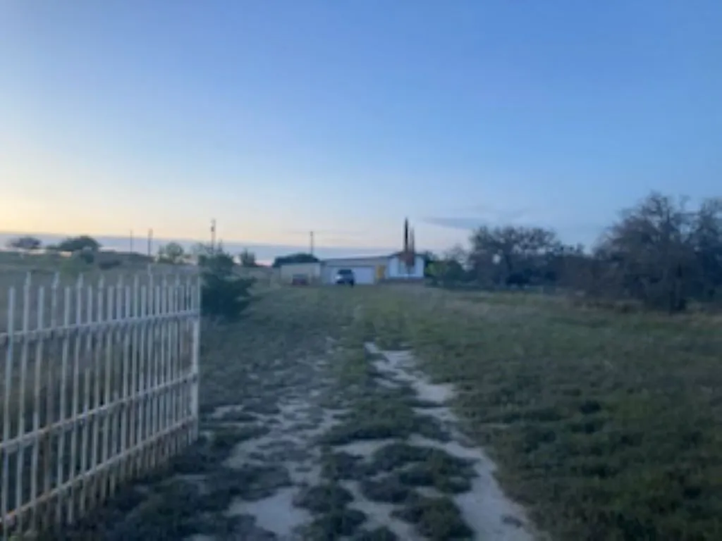 View of yard at dusk