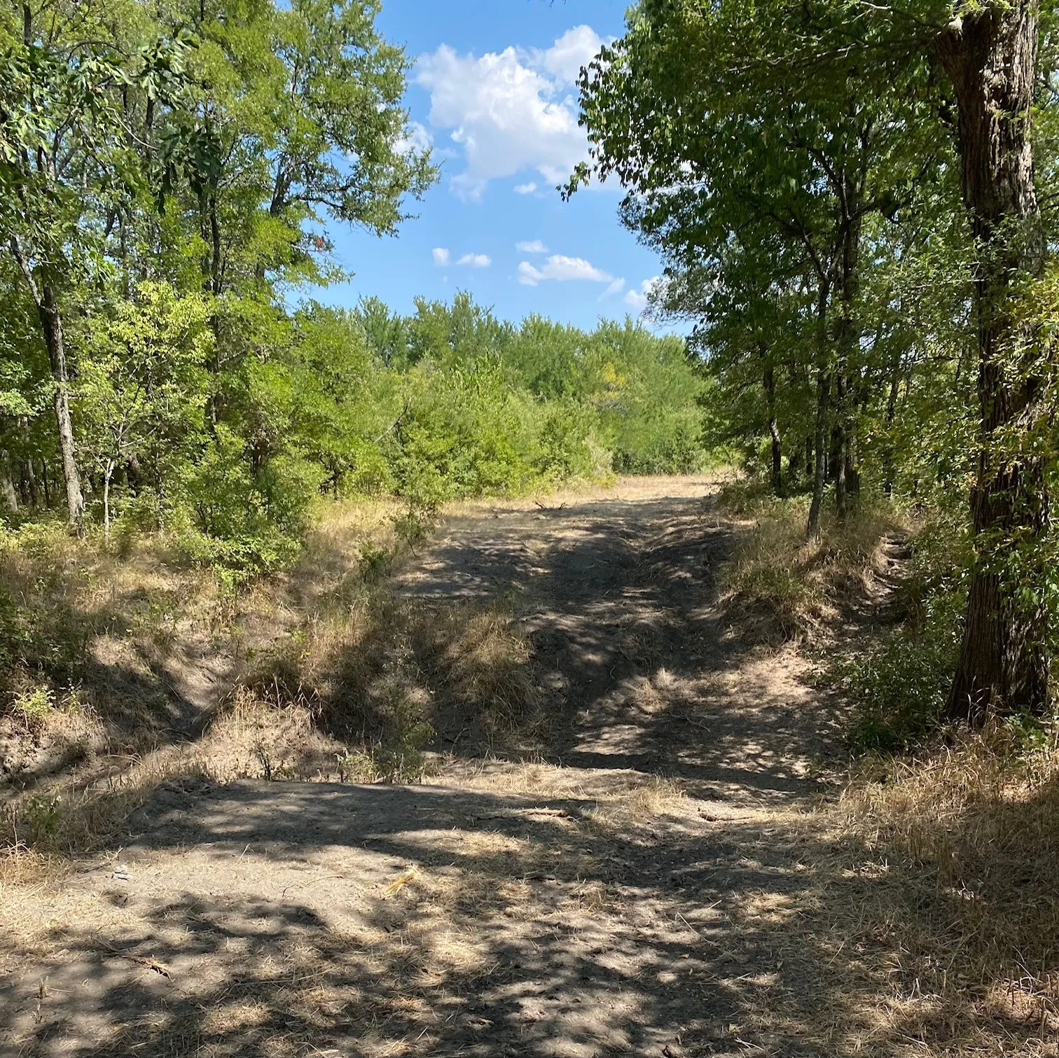 Ranch For Sale in Limestone County , TBD W HWY 84, Prairie Hill, Texas 76678, 0, 0, Garage spaces, 0 Sqft, built in 0, Price $666,187, mls#20386342, Real Estate Agent in Prairie Hill, Homes For Sale in Limestone county, Homes For Sale in Prairie Hill, Realtor in Prairie Hill Texas, Real Estate Brokerage Independent Realty Texas, Luminita Cordes Realtor