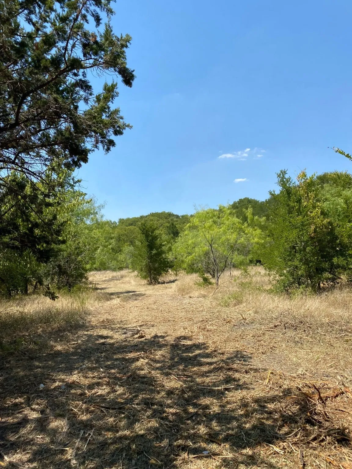 Ranch For Sale in Limestone County , TBD W HWY 84, Prairie Hill, Texas 76678, 0, 0, Garage spaces, 0 Sqft, built in 0, Price $666,187, mls#20386342, Real Estate Agent in Prairie Hill, Homes For Sale in Limestone county, Homes For Sale in Prairie Hill, Realtor in Prairie Hill Texas, Real Estate Brokerage Independent Realty Texas, Luminita Cordes Realtor