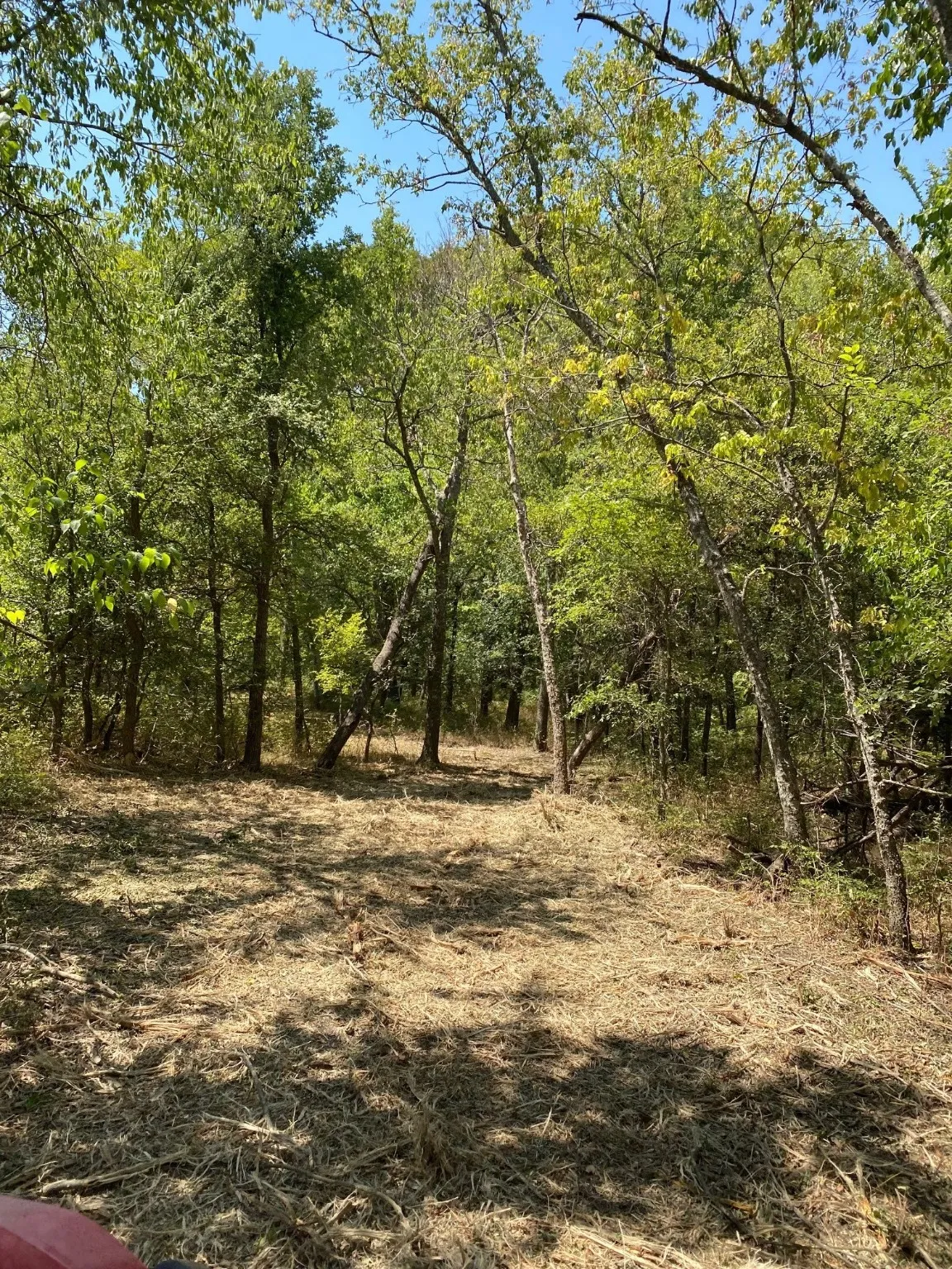 Ranch For Sale in Limestone County , TBD W HWY 84, Prairie Hill, Texas 76678, 0, 0, Garage spaces, 0 Sqft, built in 0, Price $666,187, mls#20386342, Real Estate Agent in Prairie Hill, Homes For Sale in Limestone county, Homes For Sale in Prairie Hill, Realtor in Prairie Hill Texas, Real Estate Brokerage Independent Realty Texas, Luminita Cordes Realtor