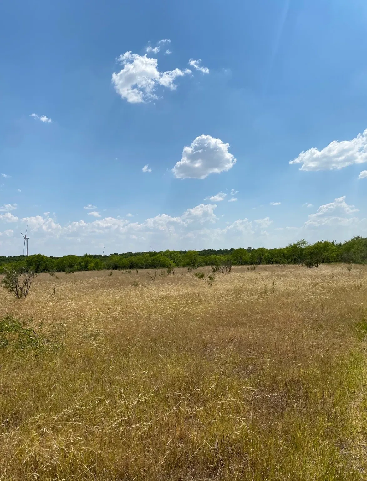 Ranch For Sale in Limestone County , TBD W HWY 84, Prairie Hill, Texas 76678, 0, 0, Garage spaces, 0 Sqft, built in 0, Price $666,187, mls#20386342, Real Estate Agent in Prairie Hill, Homes For Sale in Limestone county, Homes For Sale in Prairie Hill, Realtor in Prairie Hill Texas, Real Estate Brokerage Independent Realty Texas, Luminita Cordes Realtor