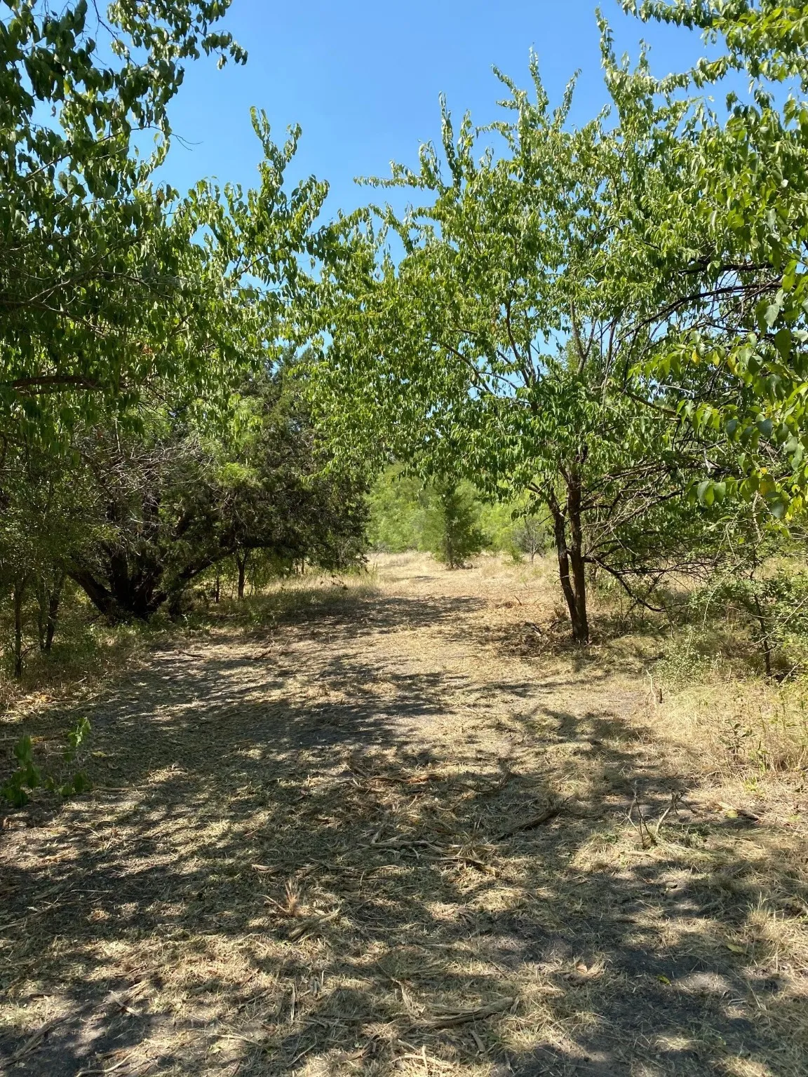 Ranch For Sale in Limestone County , TBD W HWY 84, Prairie Hill, Texas 76678, 0, 0, Garage spaces, 0 Sqft, built in 0, Price $666,187, mls#20386342, Real Estate Agent in Prairie Hill, Homes For Sale in Limestone county, Homes For Sale in Prairie Hill, Realtor in Prairie Hill Texas, Real Estate Brokerage Independent Realty Texas, Luminita Cordes Realtor