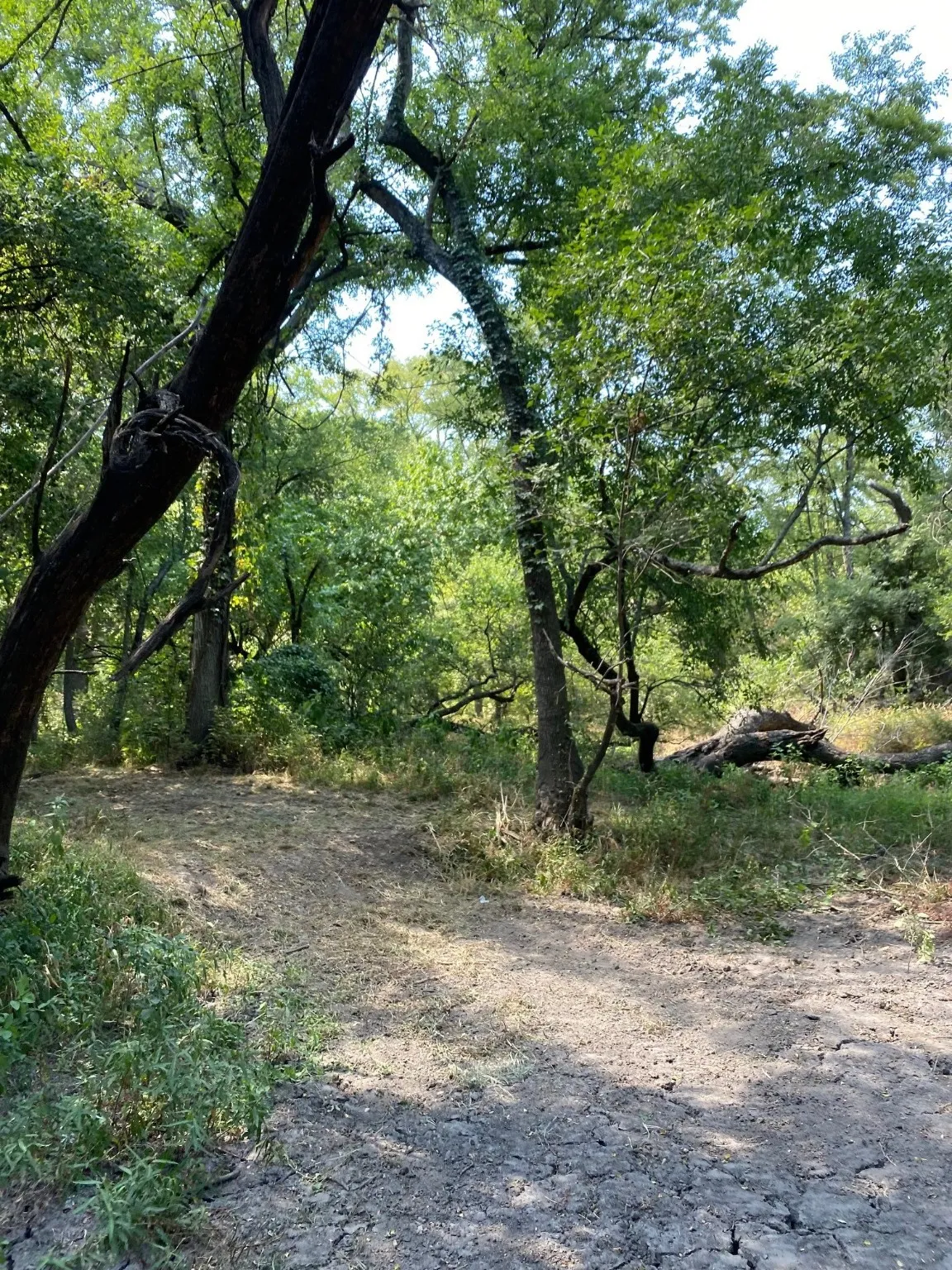 Ranch For Sale in Limestone County , TBD W HWY 84, Prairie Hill, Texas 76678, 0, 0, Garage spaces, 0 Sqft, built in 0, Price $666,187, mls#20386342, Real Estate Agent in Prairie Hill, Homes For Sale in Limestone county, Homes For Sale in Prairie Hill, Realtor in Prairie Hill Texas, Real Estate Brokerage Independent Realty Texas, Luminita Cordes Realtor