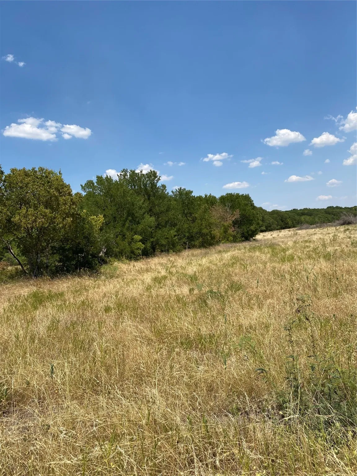 Ranch For Sale in Limestone County , TBD W HWY 84, Prairie Hill, Texas 76678, 0, 0, Garage spaces, 0 Sqft, built in 0, Price $666,187, mls#20386342, Real Estate Agent in Prairie Hill, Homes For Sale in Limestone county, Homes For Sale in Prairie Hill, Realtor in Prairie Hill Texas, Real Estate Brokerage Independent Realty Texas, Luminita Cordes Realtor