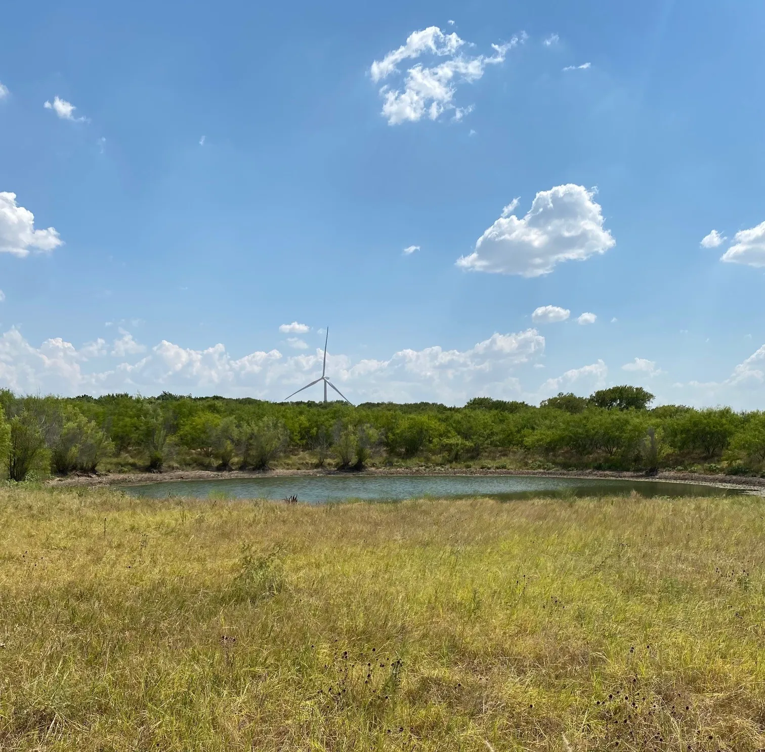 Ranch For Sale in Limestone County , TBD W HWY 84, Prairie Hill, Texas 76678, 0, 0, Garage spaces, 0 Sqft, built in 0, Price $666,187, mls#20386342, Real Estate Agent in Prairie Hill, Homes For Sale in Limestone county, Homes For Sale in Prairie Hill, Realtor in Prairie Hill Texas, Real Estate Brokerage Independent Realty Texas, Luminita Cordes Realtor