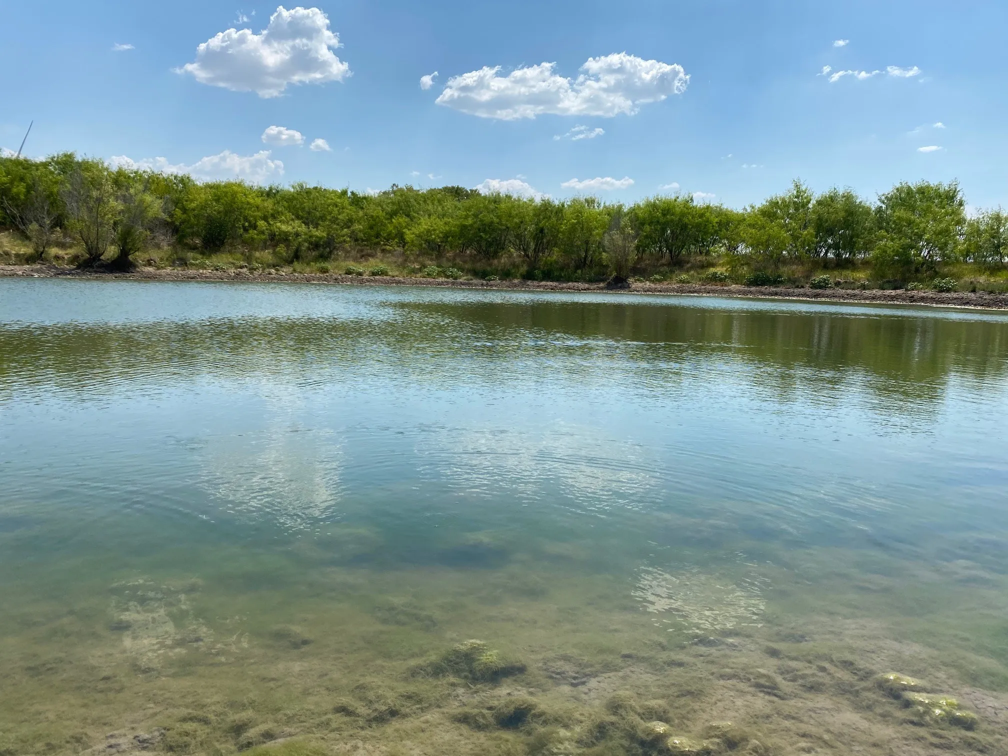 Ranch For Sale in Limestone County , TBD W HWY 84, Prairie Hill, Texas 76678, 0, 0, Garage spaces, 0 Sqft, built in 0, Price $666,187, mls#20386342, Real Estate Agent in Prairie Hill, Homes For Sale in Limestone county, Homes For Sale in Prairie Hill, Realtor in Prairie Hill Texas, Real Estate Brokerage Independent Realty Texas, Luminita Cordes Realtor