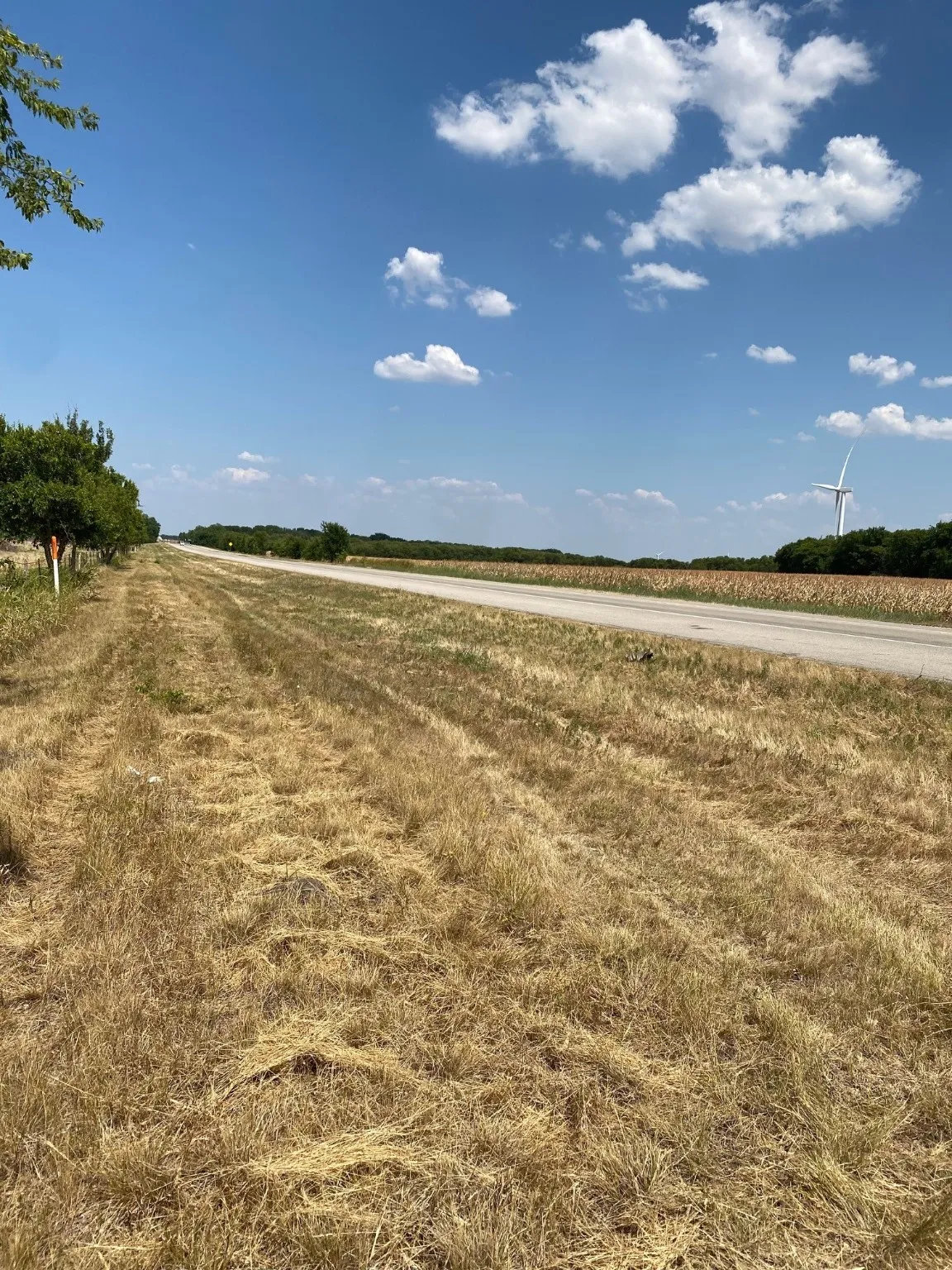 Ranch For Sale in Limestone County , TBD W HWY 84, Prairie Hill, Texas 76678, 0, 0, Garage spaces, 0 Sqft, built in 0, Price $666,187, mls#20386342, Real Estate Agent in Prairie Hill, Homes For Sale in Limestone county, Homes For Sale in Prairie Hill, Realtor in Prairie Hill Texas, Real Estate Brokerage Independent Realty Texas, Luminita Cordes Realtor