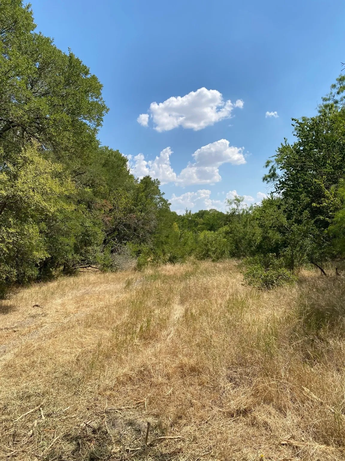 Ranch For Sale in Limestone County , TBD W HWY 84, Prairie Hill, Texas 76678, 0, 0, Garage spaces, 0 Sqft, built in 0, Price $666,187, mls#20386342, Real Estate Agent in Prairie Hill, Homes For Sale in Limestone county, Homes For Sale in Prairie Hill, Realtor in Prairie Hill Texas, Real Estate Brokerage Independent Realty Texas, Luminita Cordes Realtor