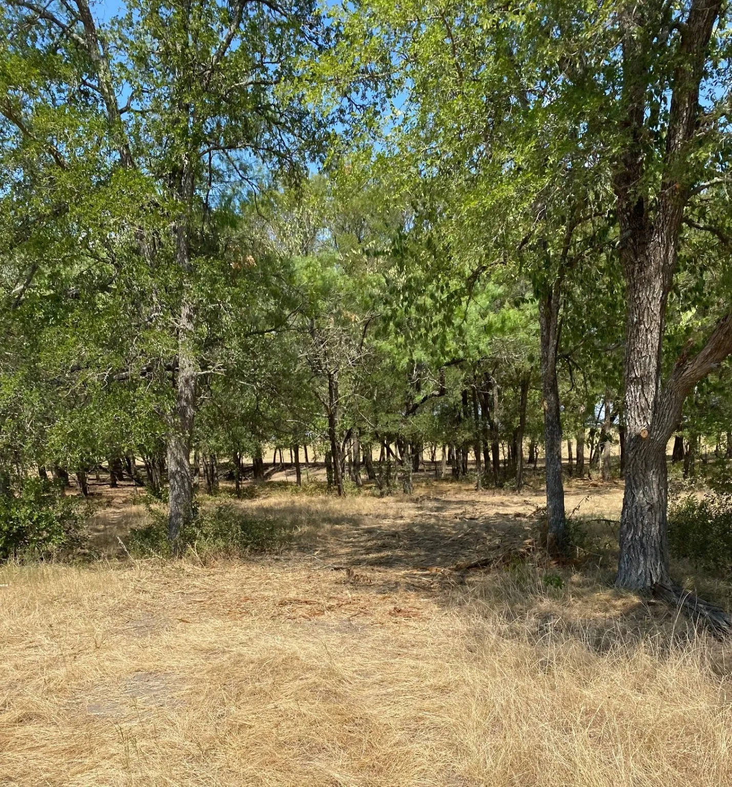 Ranch For Sale in Limestone County , TBD W HWY 84, Prairie Hill, Texas 76678, 0, 0, Garage spaces, 0 Sqft, built in 0, Price $666,187, mls#20386342, Real Estate Agent in Prairie Hill, Homes For Sale in Limestone county, Homes For Sale in Prairie Hill, Realtor in Prairie Hill Texas, Real Estate Brokerage Independent Realty Texas, Luminita Cordes Realtor