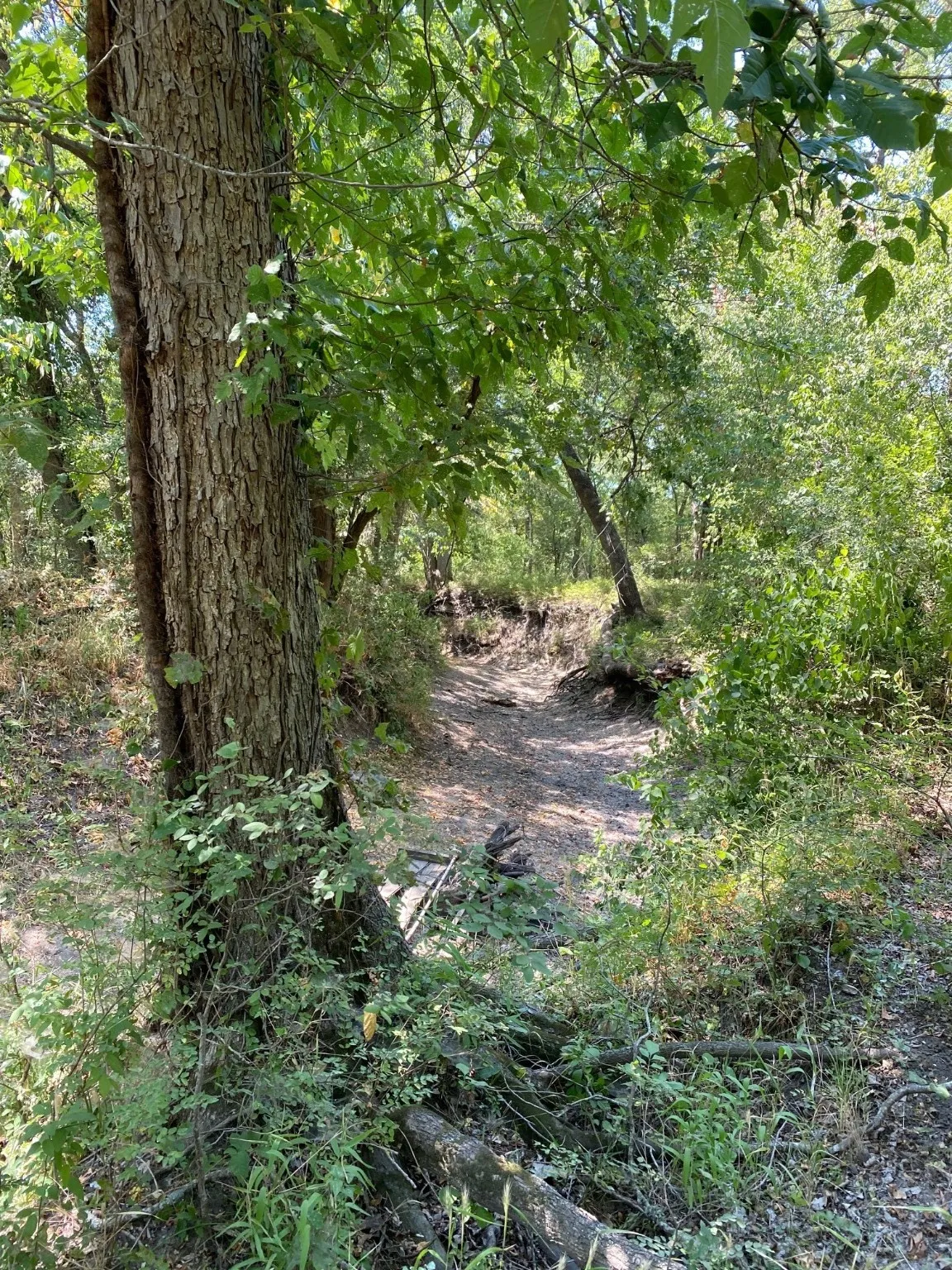 Ranch For Sale in Limestone County , TBD W HWY 84, Prairie Hill, Texas 76678, 0, 0, Garage spaces, 0 Sqft, built in 0, Price $666,187, mls#20386342, Real Estate Agent in Prairie Hill, Homes For Sale in Limestone county, Homes For Sale in Prairie Hill, Realtor in Prairie Hill Texas, Real Estate Brokerage Independent Realty Texas, Luminita Cordes Realtor