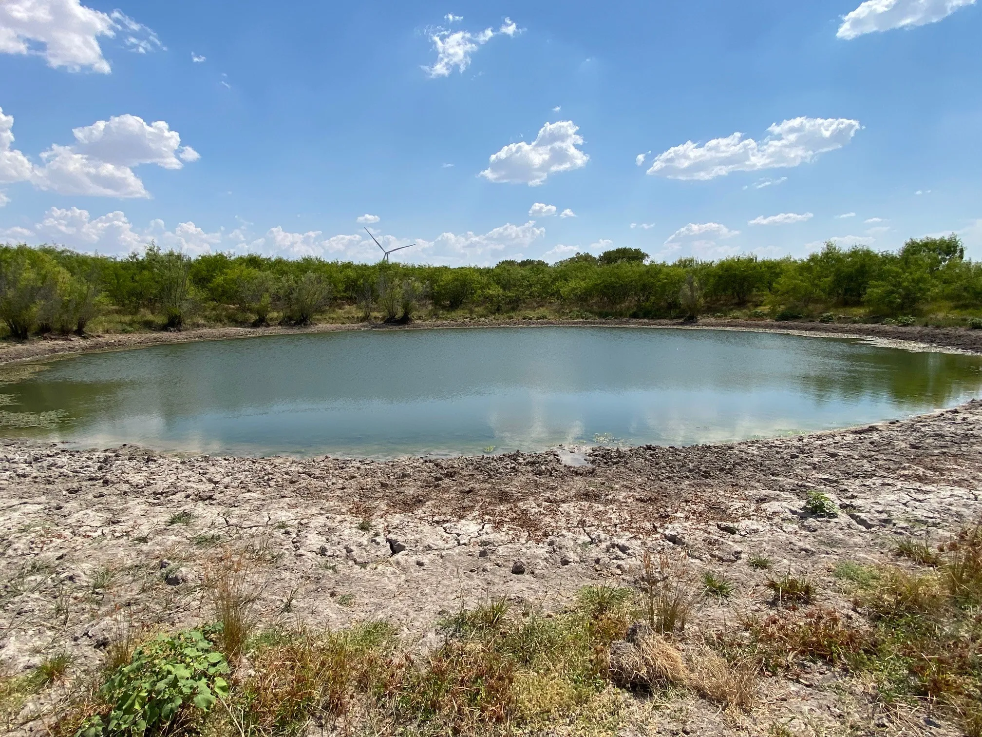 Ranch For Sale in Limestone County , TBD W HWY 84, Prairie Hill, Texas 76678, 0, 0, Garage spaces, 0 Sqft, built in 0, Price $666,187, mls#20386342, Real Estate Agent in Prairie Hill, Homes For Sale in Limestone county, Homes For Sale in Prairie Hill, Realtor in Prairie Hill Texas, Real Estate Brokerage Independent Realty Texas, Luminita Cordes Realtor