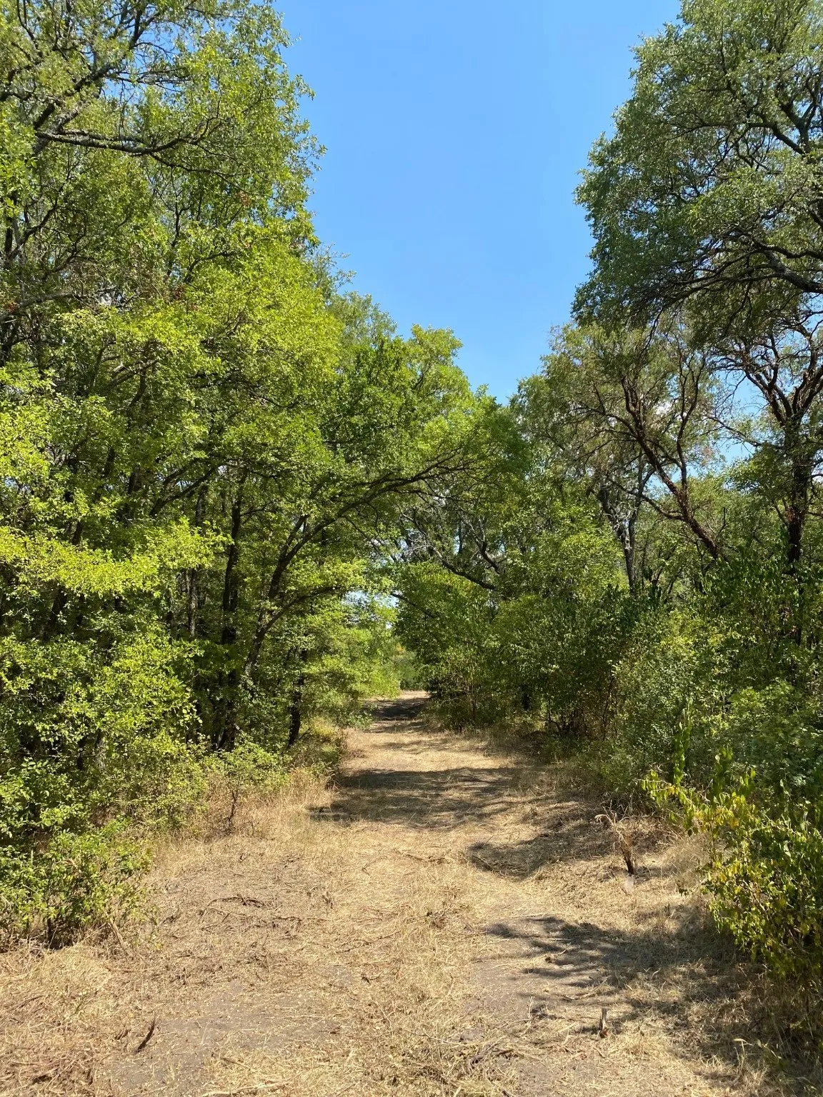 Ranch For Sale in Limestone County , TBD W HWY 84, Prairie Hill, Texas 76678, 0, 0, Garage spaces, 0 Sqft, built in 0, Price $666,187, mls#20386342, Real Estate Agent in Prairie Hill, Homes For Sale in Limestone county, Homes For Sale in Prairie Hill, Realtor in Prairie Hill Texas, Real Estate Brokerage Independent Realty Texas, Luminita Cordes Realtor