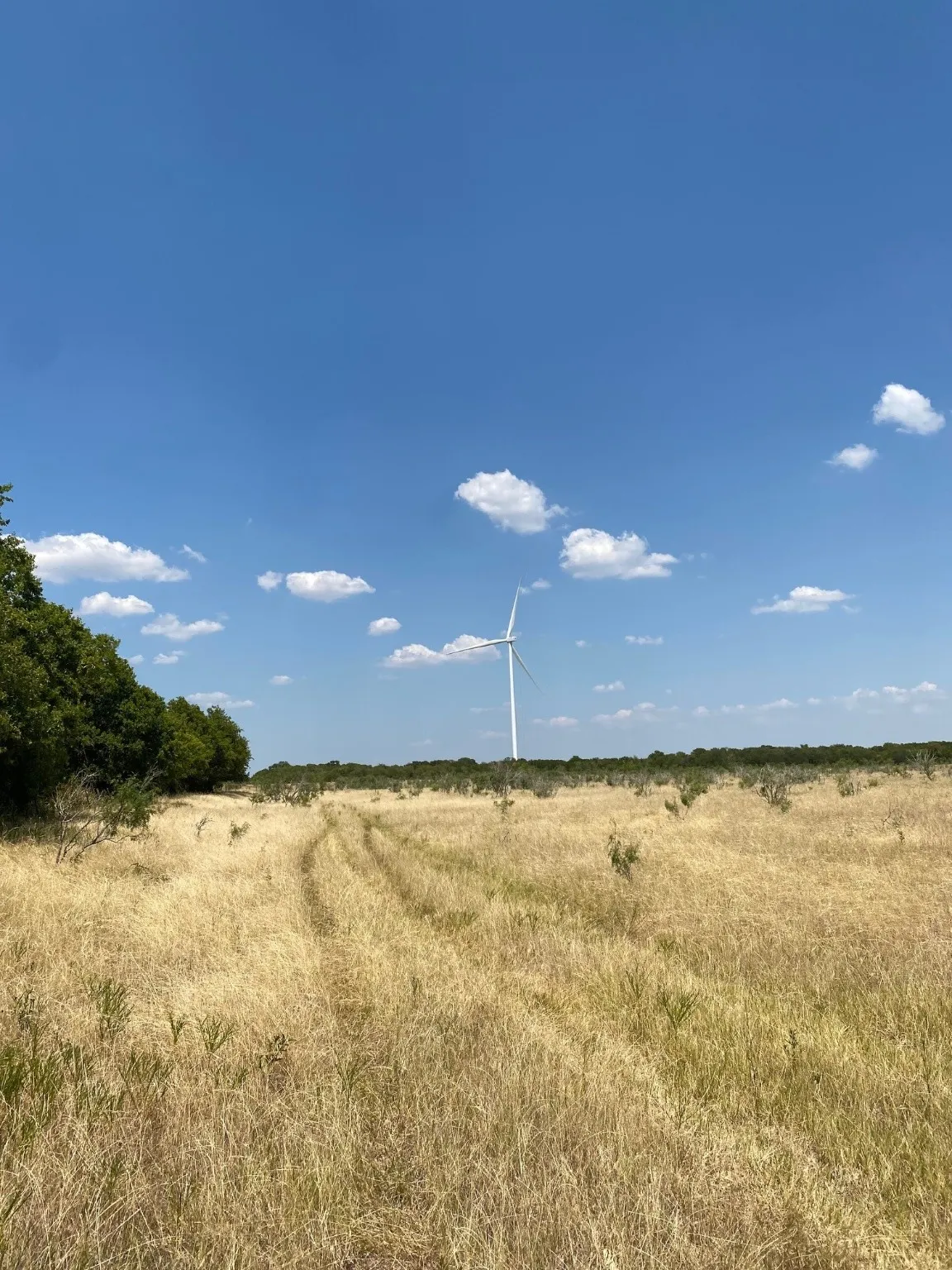 Ranch For Sale in Limestone County , TBD W HWY 84, Prairie Hill, Texas 76678, 0, 0, Garage spaces, 0 Sqft, built in 0, Price $666,187, mls#20386342, Real Estate Agent in Prairie Hill, Homes For Sale in Limestone county, Homes For Sale in Prairie Hill, Realtor in Prairie Hill Texas, Real Estate Brokerage Independent Realty Texas, Luminita Cordes Realtor