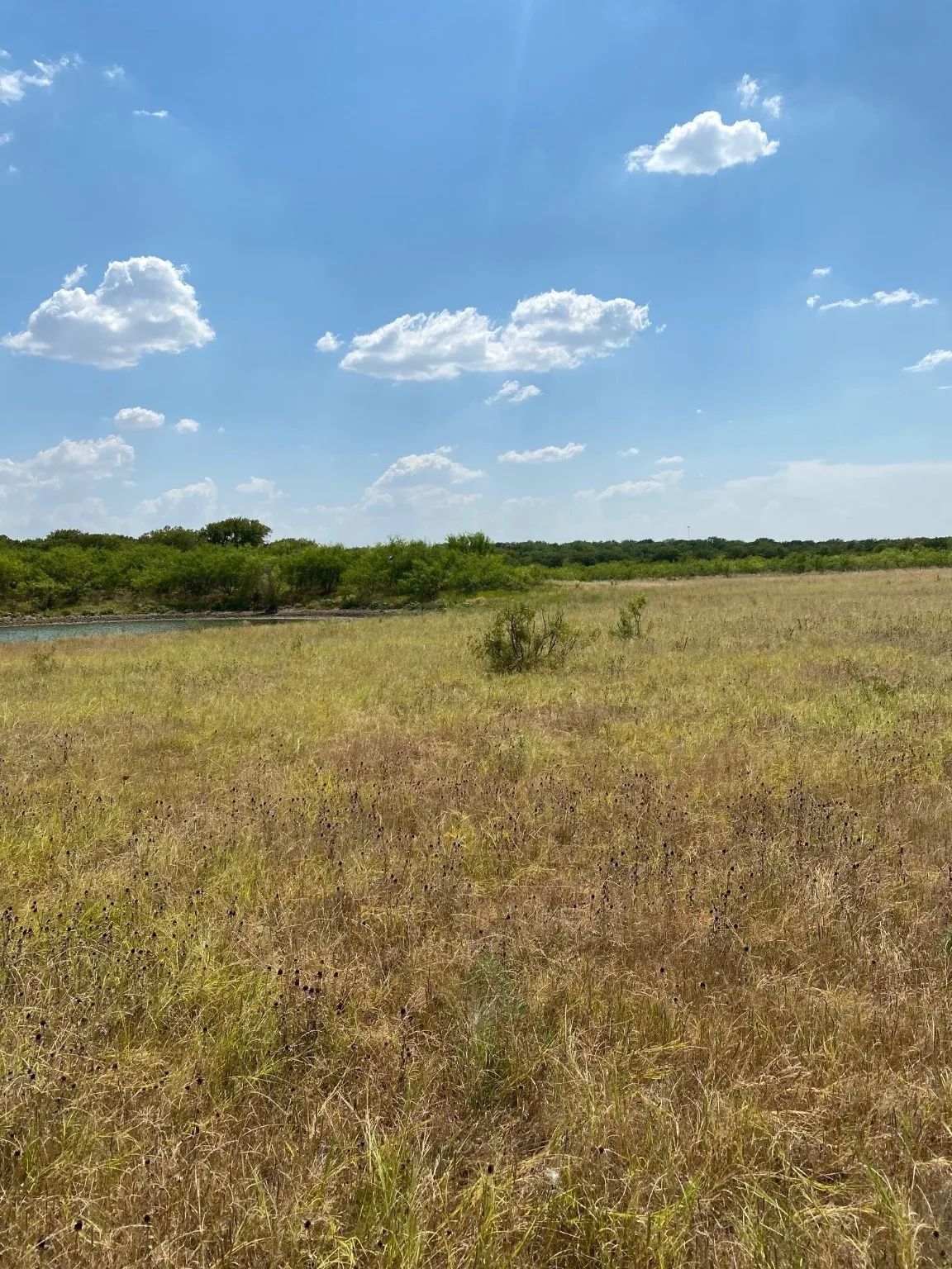 Ranch For Sale in Limestone County , TBD W HWY 84, Prairie Hill, Texas 76678, 0, 0, Garage spaces, 0 Sqft, built in 0, Price $666,187, mls#20386342, Real Estate Agent in Prairie Hill, Homes For Sale in Limestone county, Homes For Sale in Prairie Hill, Realtor in Prairie Hill Texas, Real Estate Brokerage Independent Realty Texas, Luminita Cordes Realtor