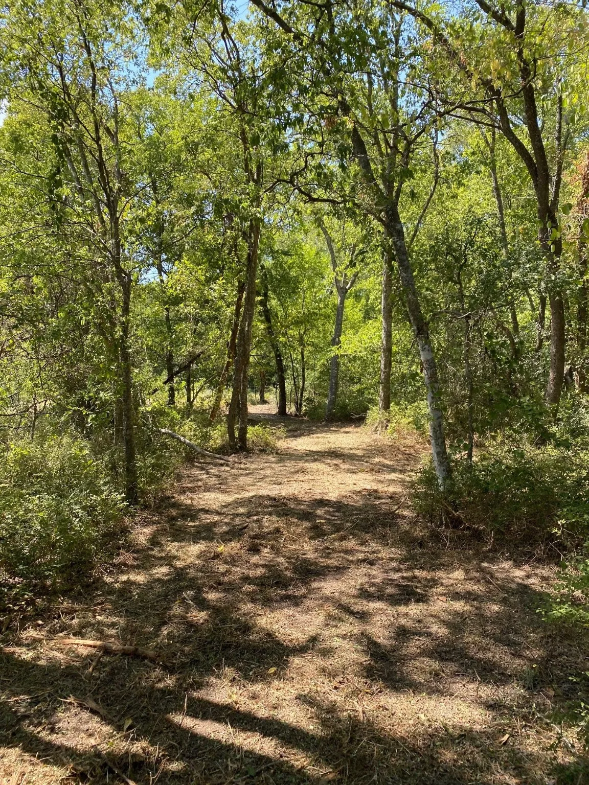 Ranch For Sale in Limestone County , TBD W HWY 84, Prairie Hill, Texas 76678, 0, 0, Garage spaces, 0 Sqft, built in 0, Price $666,187, mls#20386342, Real Estate Agent in Prairie Hill, Homes For Sale in Limestone county, Homes For Sale in Prairie Hill, Realtor in Prairie Hill Texas, Real Estate Brokerage Independent Realty Texas, Luminita Cordes Realtor