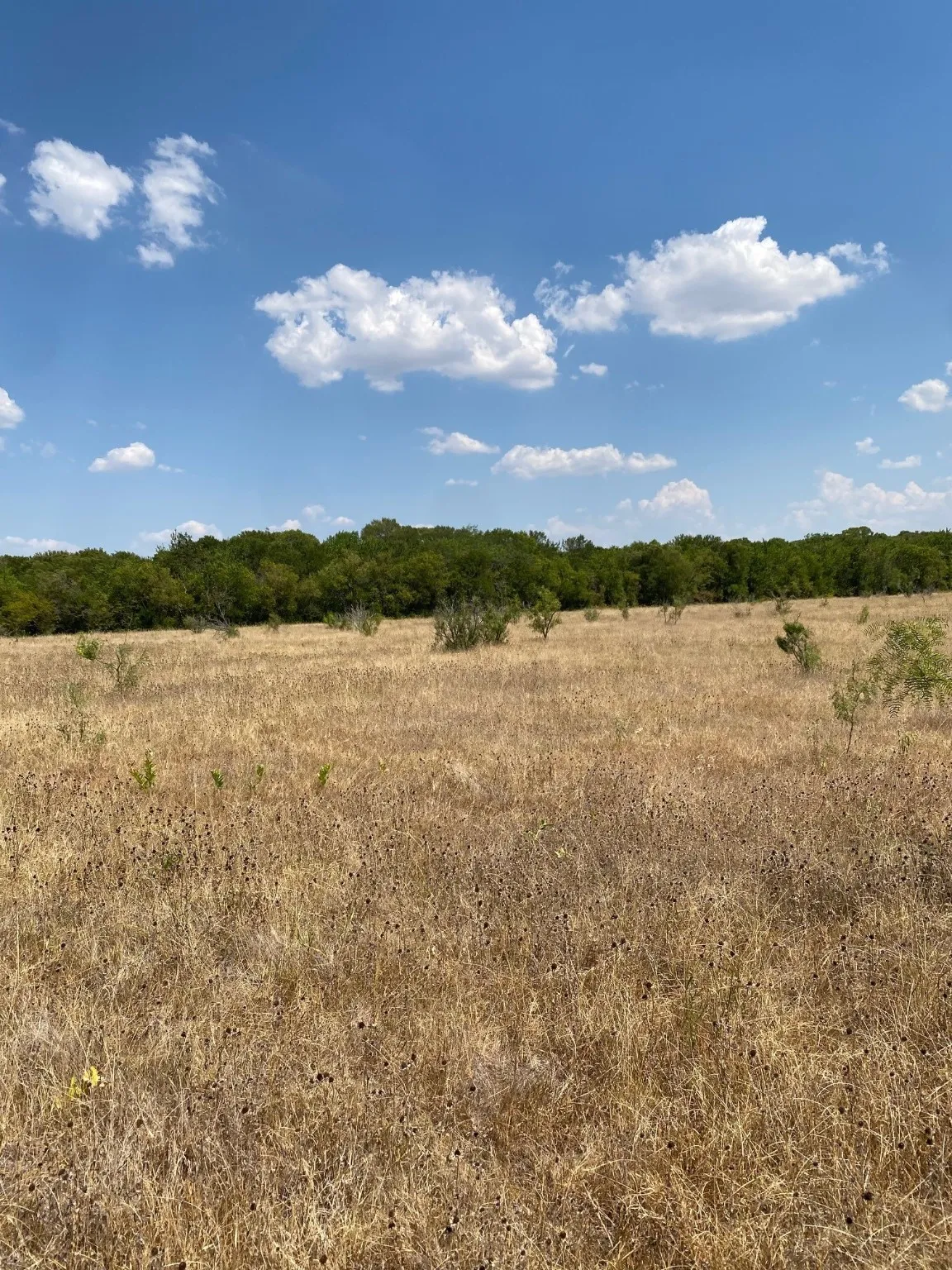 Ranch For Sale in Limestone County , TBD W HWY 84, Prairie Hill, Texas 76678, 0, 0, Garage spaces, 0 Sqft, built in 0, Price $666,187, mls#20386342, Real Estate Agent in Prairie Hill, Homes For Sale in Limestone county, Homes For Sale in Prairie Hill, Realtor in Prairie Hill Texas, Real Estate Brokerage Independent Realty Texas, Luminita Cordes Realtor