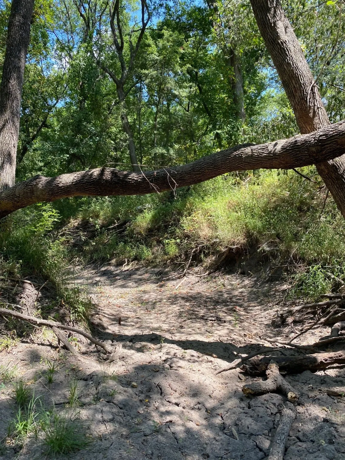 Ranch For Sale in Limestone County , TBD W HWY 84, Prairie Hill, Texas 76678, 0, 0, Garage spaces, 0 Sqft, built in 0, Price $666,187, mls#20386342, Real Estate Agent in Prairie Hill, Homes For Sale in Limestone county, Homes For Sale in Prairie Hill, Realtor in Prairie Hill Texas, Real Estate Brokerage Independent Realty Texas, Luminita Cordes Realtor