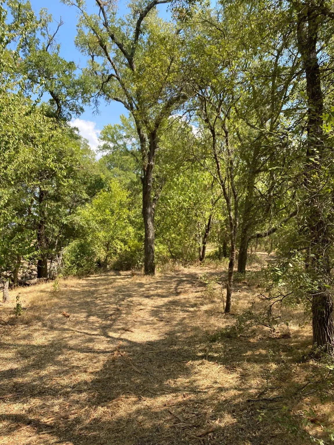 Ranch For Sale in Limestone County , TBD W HWY 84, Prairie Hill, Texas 76678, 0, 0, Garage spaces, 0 Sqft, built in 0, Price $666,187, mls#20386342, Real Estate Agent in Prairie Hill, Homes For Sale in Limestone county, Homes For Sale in Prairie Hill, Realtor in Prairie Hill Texas, Real Estate Brokerage Independent Realty Texas, Luminita Cordes Realtor