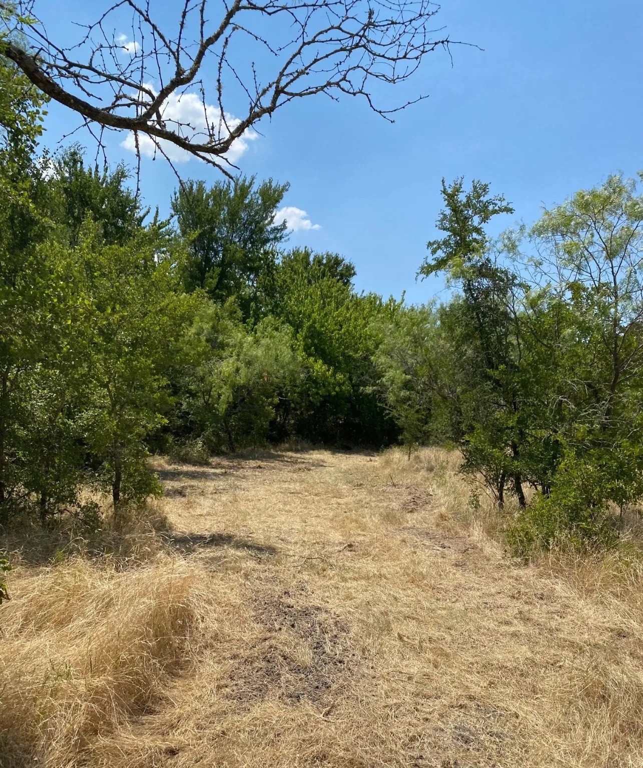 Ranch For Sale in Limestone County , TBD W HWY 84, Prairie Hill, Texas 76678, 0, 0, Garage spaces, 0 Sqft, built in 0, Price $666,187, mls#20386342, Real Estate Agent in Prairie Hill, Homes For Sale in Limestone county, Homes For Sale in Prairie Hill, Realtor in Prairie Hill Texas, Real Estate Brokerage Independent Realty Texas, Luminita Cordes Realtor