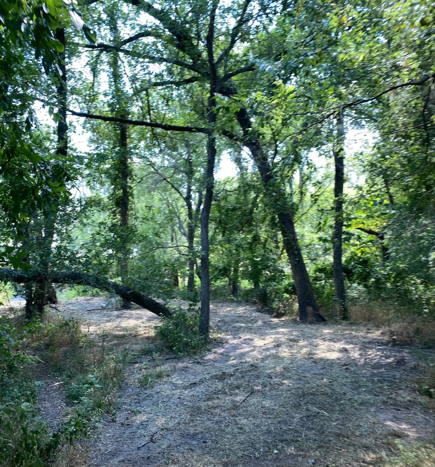 Ranch For Sale in Limestone County , TBD W HWY 84, Prairie Hill, Texas 76678, 0, 0, Garage spaces, 0 Sqft, built in 0, Price $666,187, mls#20386342, Real Estate Agent in Prairie Hill, Homes For Sale in Limestone county, Homes For Sale in Prairie Hill, Realtor in Prairie Hill Texas, Real Estate Brokerage Independent Realty Texas, Luminita Cordes Realtor